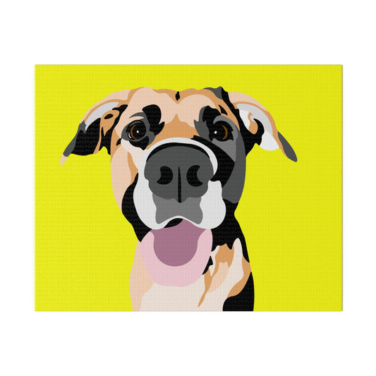 One Pet Portrait on Canvas | Yellow Background | Custom Hand-Drawn Pet Portrait in Cartoon-Realism Style