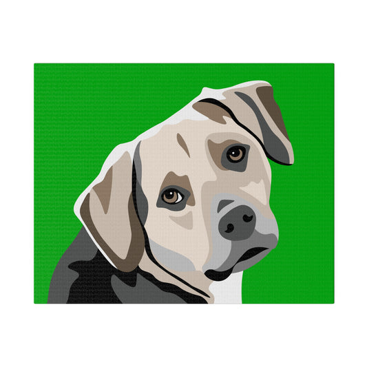 One Pet Portrait on Canvas | Green Background | Custom Hand-Drawn Pet Portrait in Cartoon-Realism Style
